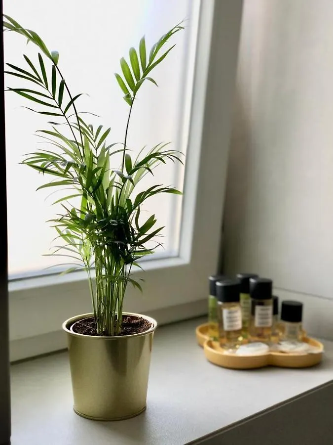 Apartament Laus Via Sparano App.2- Lux & Design New! Bari Włochy